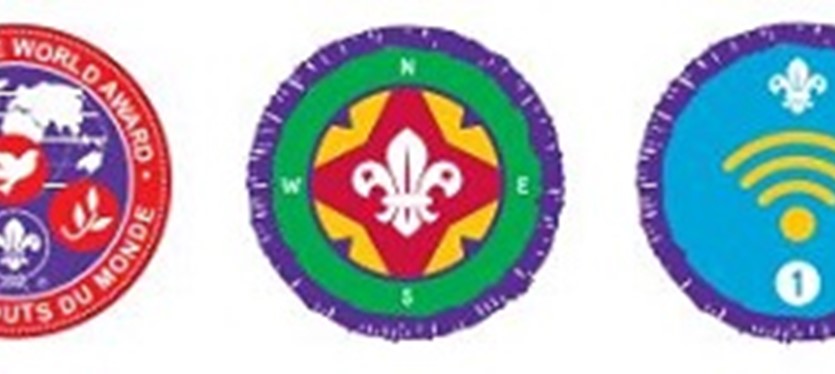 Euan's Guide Scouts Activity image