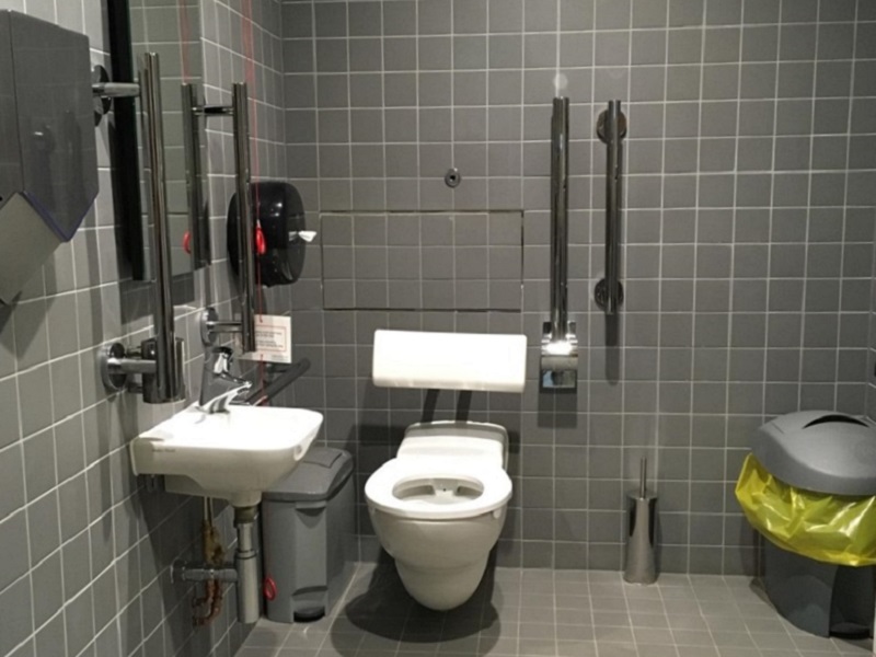 Photo of the toilet at Glasgow Film Theatre.
