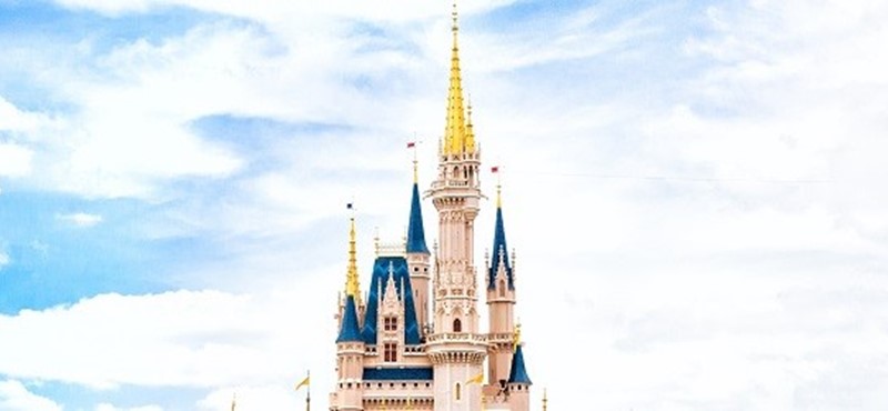 Photo of the Disney Castle.
