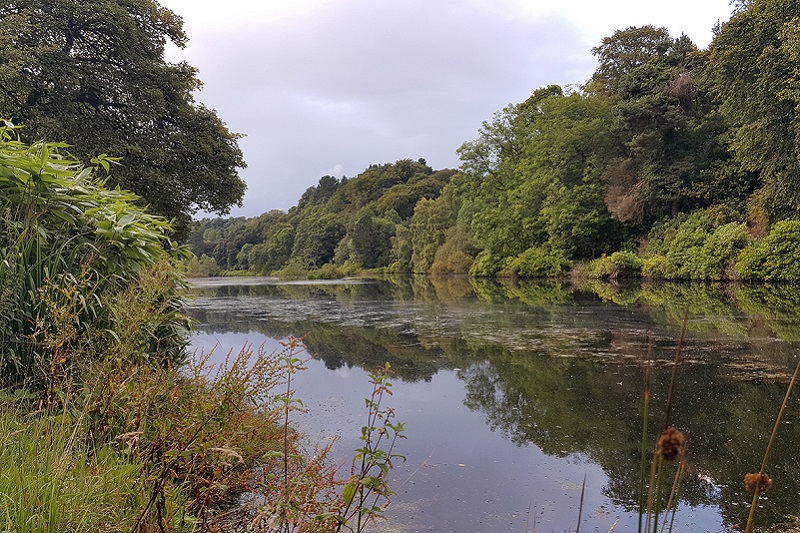 Photo of the private loch at Glampotel.
