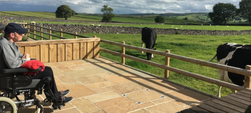 Photo of a guest watching cows at Hope Cross Cottage.