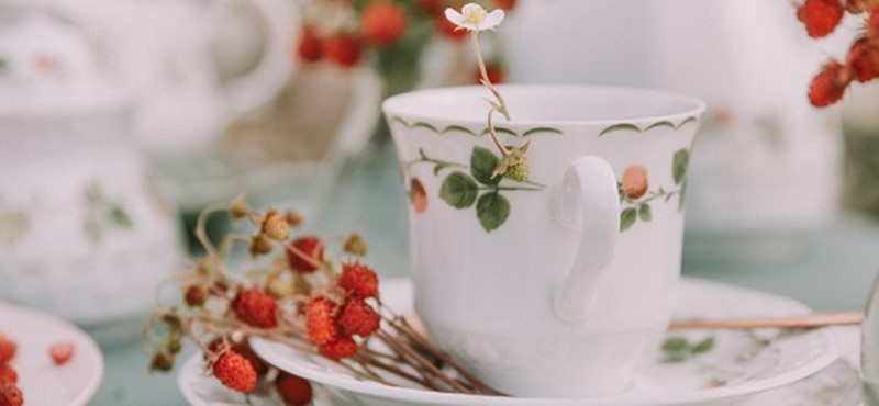 Photo of a tea cup with a flower inside and surrounded by dried strawberries.