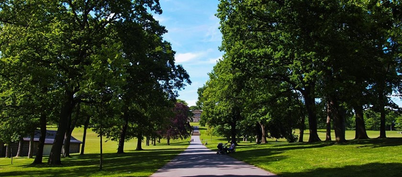 Photo of a paved path through Roundhay Park.