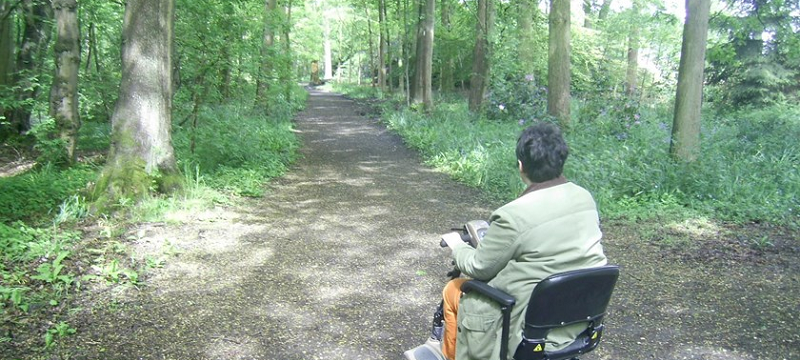 Photo of an accessible woodland path at Moorlands Nature Reserve.