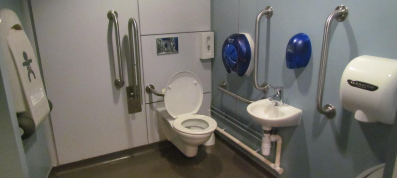 A baby changing table seen on the wall on the left. The toilet is against the back wall with the sink close by on the right.