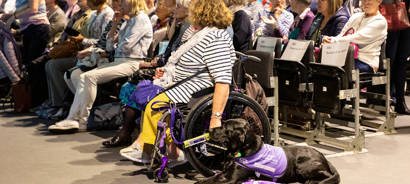 Audience at a Book Festival event. The person closest to the camera is seated in their wheelchair with an assistance dog lying next to them.