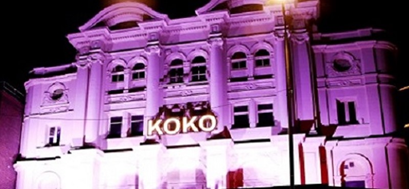Photo of Koko in London.