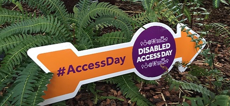 Photo of a Disabled Access Day arrow.