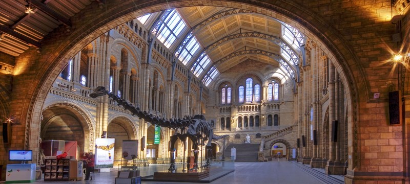 Photo of Natural History Museum.