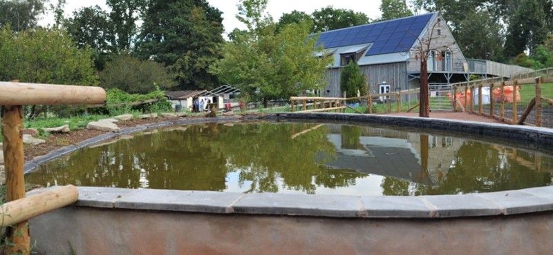 A photograph of an accessible wildlife pond.