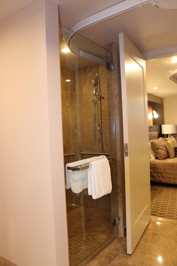 Picture of Aria Resort and Casino - Shower