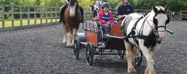 Disabled Access Day at Calvert Trust article image