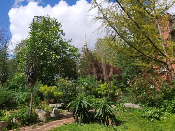Picture of The Phoenix Garden, London