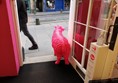 Picture of Neon Sheep, Edinburgh