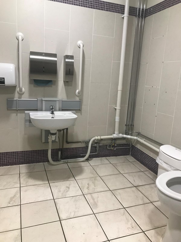 Image of a sink with grab rails in an accessible toilet