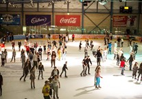Disabled Access Day at the National Ice Centre