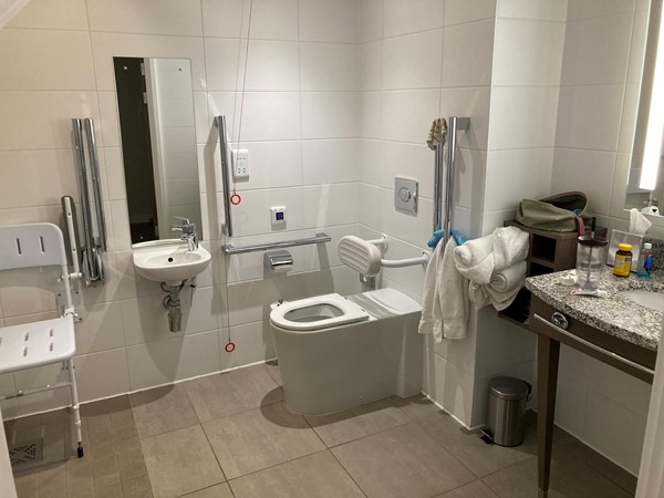 Disabled bathroom overview
