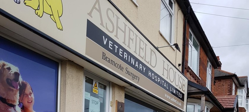 Ashfield House Veterinary Surgery