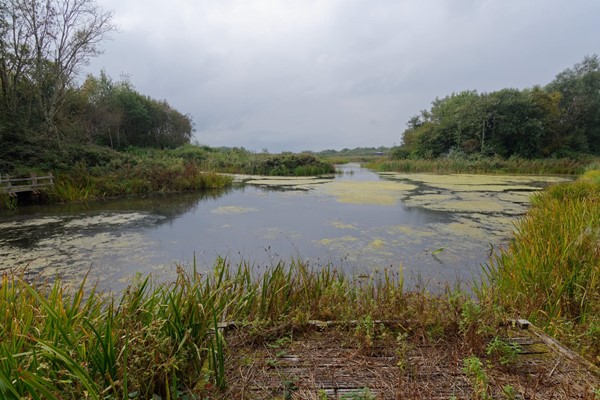 Picture of Llanelli Wetlands, Llanelli