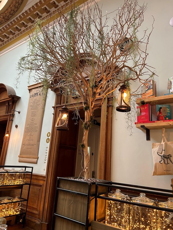 Image of Mowgli Street Food interior, Edinburgh