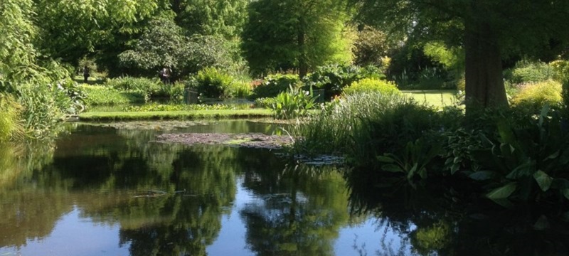 Photo of Beth Chatto Gardens.