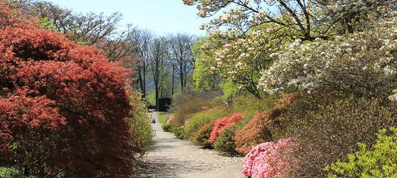 Photo of Castle Drogo garden.