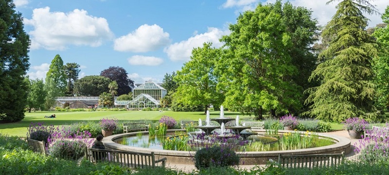 Photo of Cambridge University Botanic Garden.