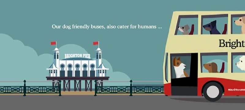 Brighton and Hove buses poster.