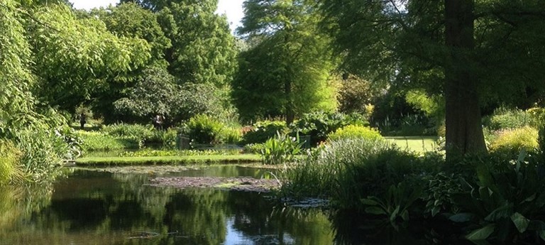 Photo of Beth Chatto Gardens.