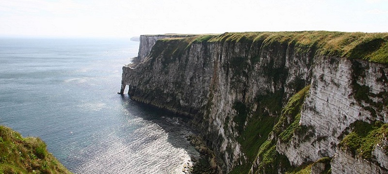 Photo of RSPB Bempton Cliffs.