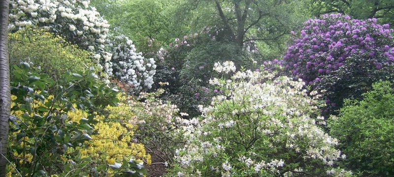 Photo of Moorlands Nature Reserve.