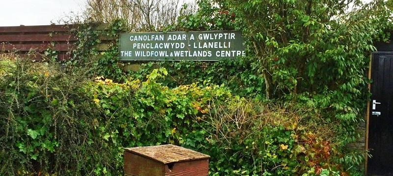 Photo of WWT Llanelli Wetlands.