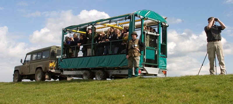 Photo of WWT Slimbridge Wetland Centre.