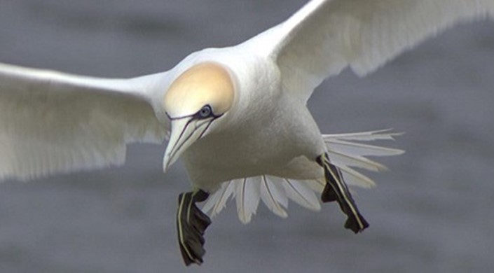 10 nature reserves with surprisingly good disabled access