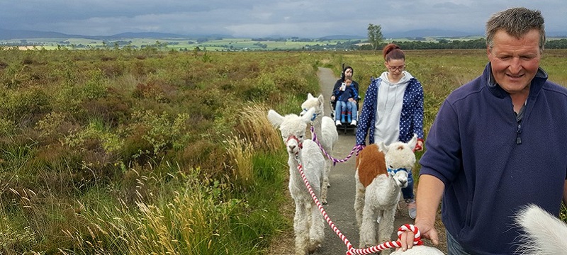 Photo of The Alpaca Trekking Centre.