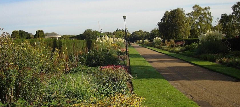 Photo of a garden in Norwich.