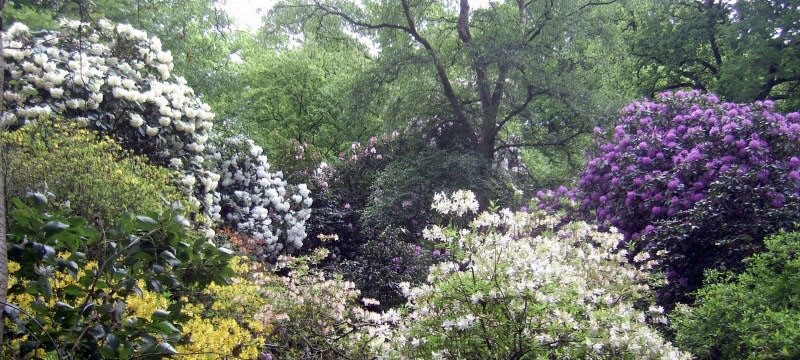 Photo of Moorlands Nature Reserve.