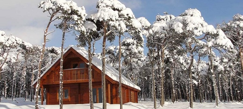 Photo of Hill of Maunderlea Lodges with snowy trees.