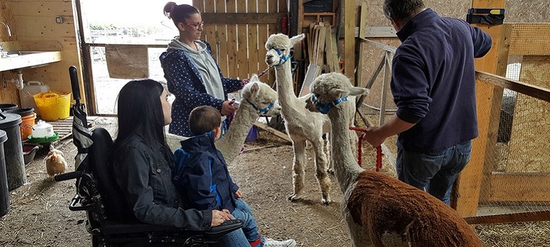 Photo of a reviewer at the Alpaca Trekking Centre.