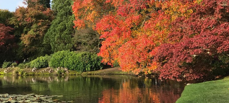 Photo of Sheffield Park and Garden.