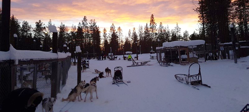 Photo of Torassieppi Reindeer Farm and Cottages.