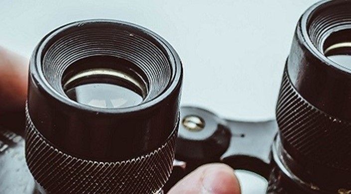 A quick guide to accessible birding in the UK