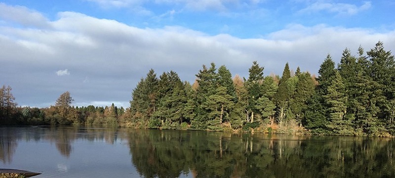 Photo of Crombie Country Park.