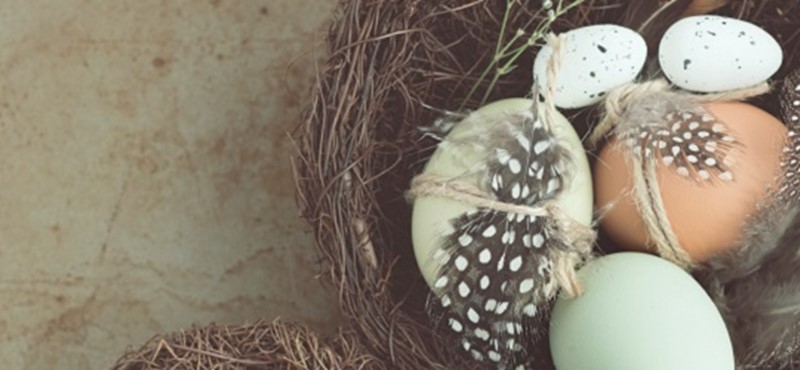 Photo of a basket of eggs.