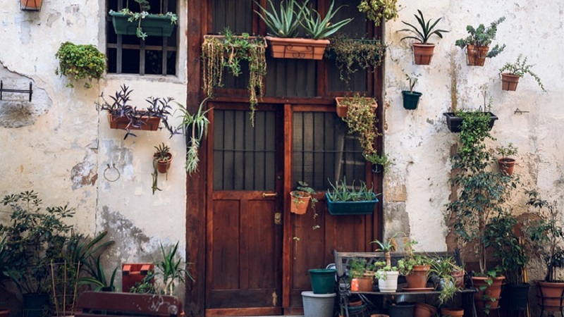Photo of a doorway surrounded by plants in Barcelona.