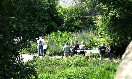 Johnston Terrace Wildlife Garden