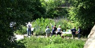 Edinburgh Art Festival at Johnston Terrace Wildlife Garden