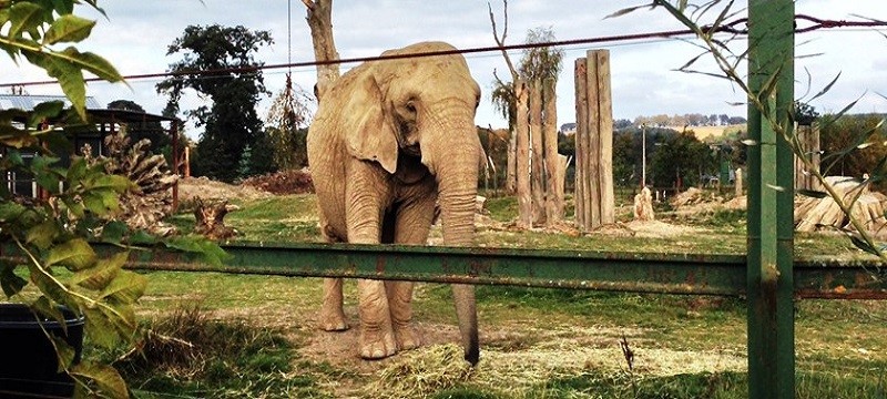 Photo of Blair Drummond Safari Park.