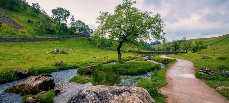 Photo of Yorkshire moor path.