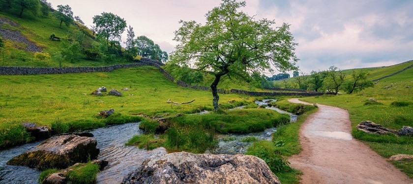 Photo of Yorkshire moor path.